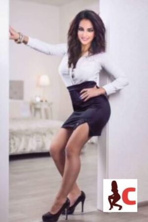 Jenny Brunette Carlow Escort in sexy office dress