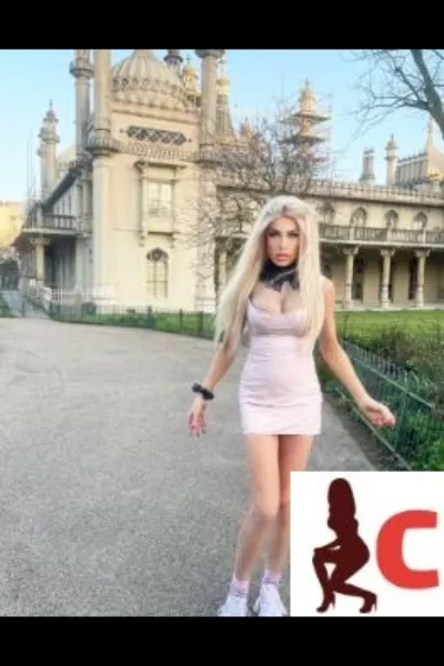 TS British Barbie in a short dress outside